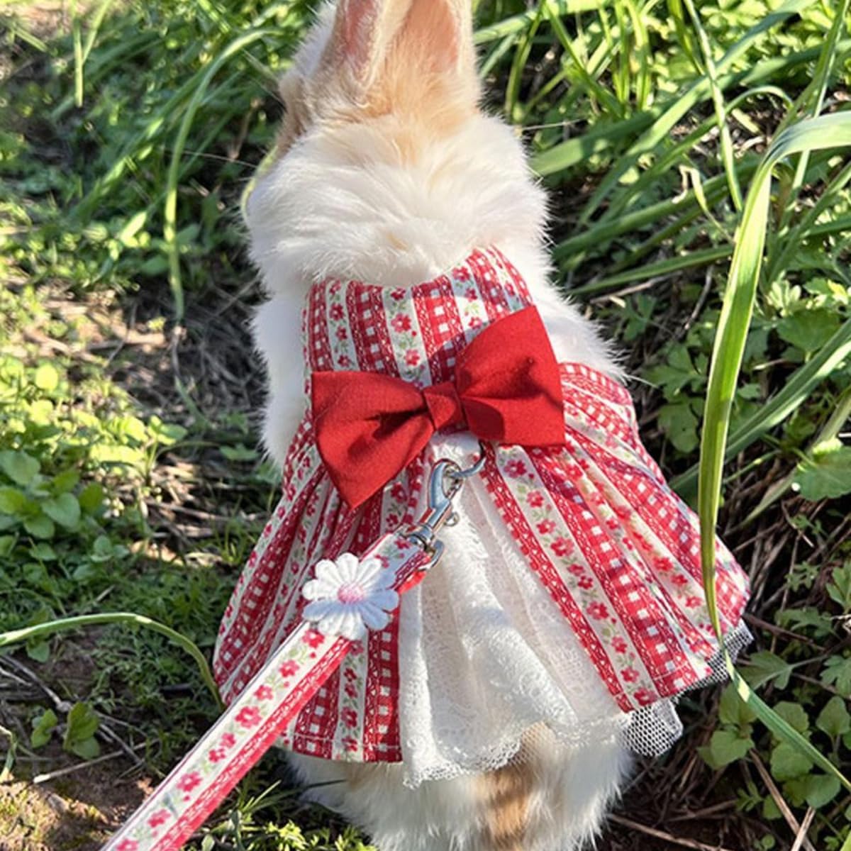 Rabbit Harness and Leash - Bunny Harness Escape Proof for Walking Runnig Hiking Camping Outdoor,Cute Small Animal Harness Leash Set (Blue,L)