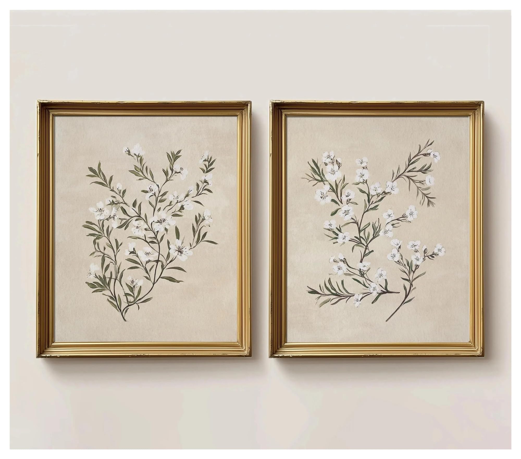 Byambd D Byamb Aesthetic Pictures 2Pcs Frameless Retro Plant Printing Cottagecore Canvas French Country Plant Posters Prints Flower Nursery Wall Art Ecor(,30X40cm)