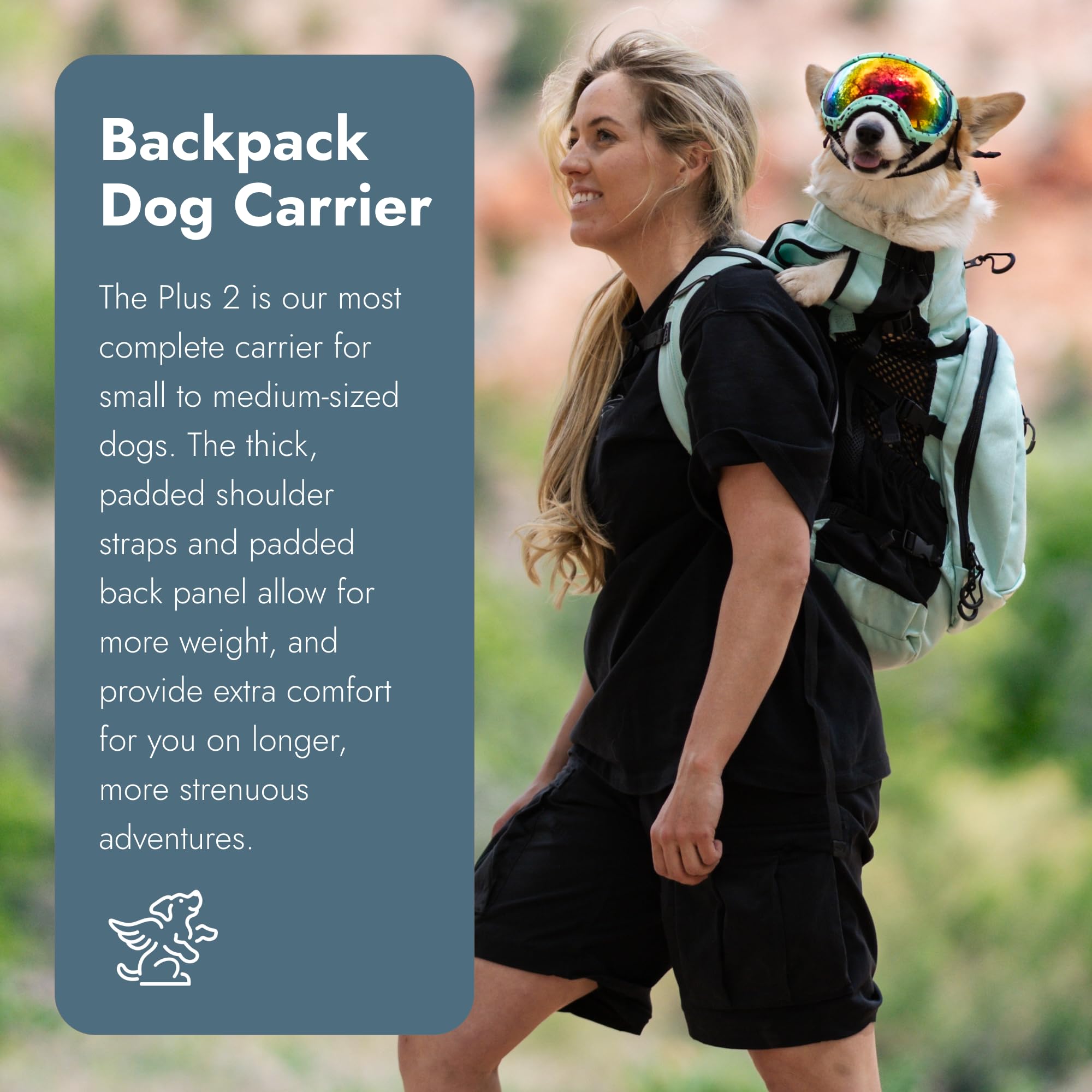 K9 Sport Sack Plus 2 - Large, Summer Mint - Ideal for Dogs 20-22