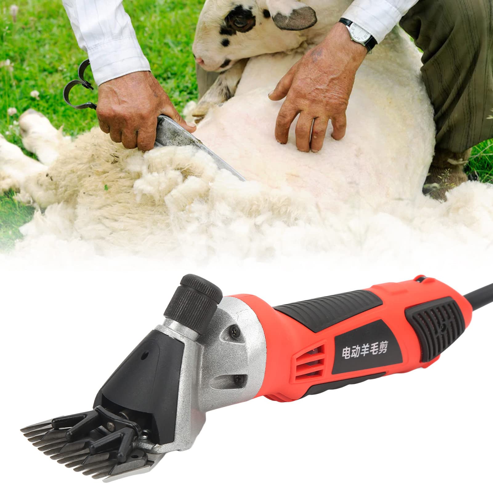 Cesoie per Pecore 1000W Clipper a Velocità Regolabile Lame in Acciaio ad Alto Tenore di Carbonio per Pecore, Capre, Alpaca, Lama Strumento per Toelettatura Professionale