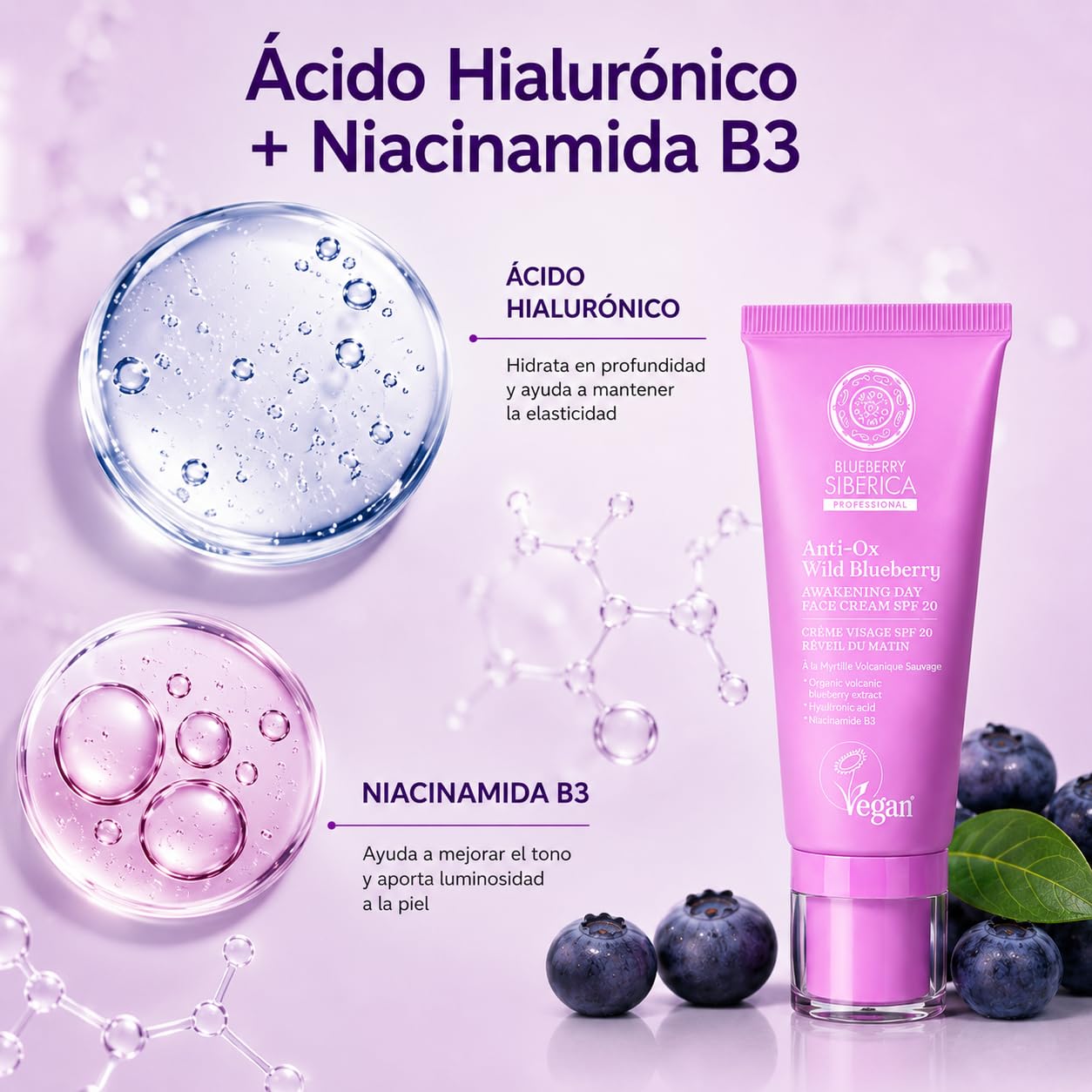Amazon.com: Natura Siberica Natural Anti-OX Wild Blueberry Day
