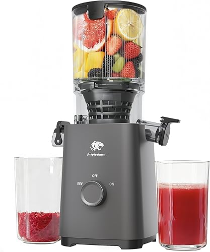 T33 Cold Press Juicer Machines, 5.3" Large Feed Chute Slow Masticating Juicer, Powerful AC Brushless Motor Fit Whole Fruits & Vegetable, 99% Juice