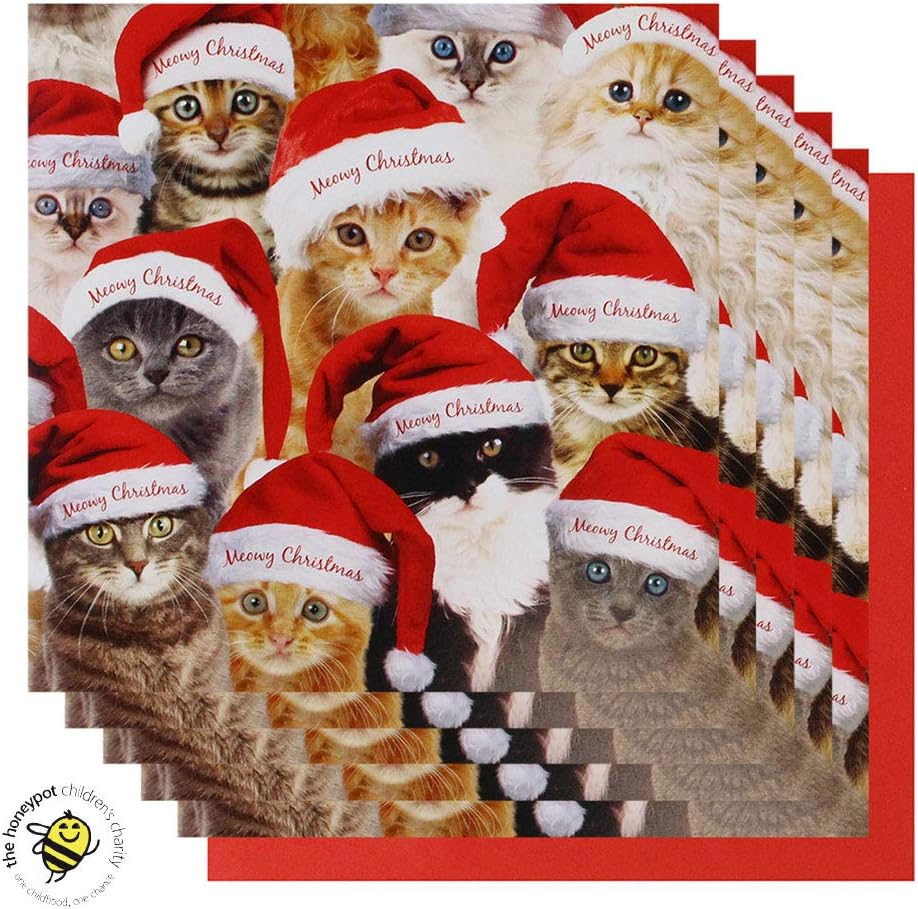 Paperchase Cat Charity Christmas Cards - Pack of 8