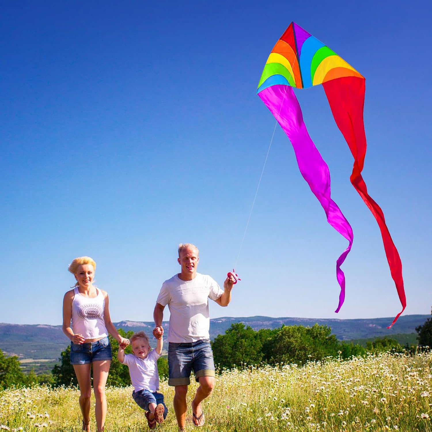 HENGDA KITE Colourful Triangle Kite with Two Tails for Kids Beginners and Adults Easy to Fly and Assemble Suitable for Outdoor Activities,Body 55x30 inch,Tail 97 inch (Style 2)