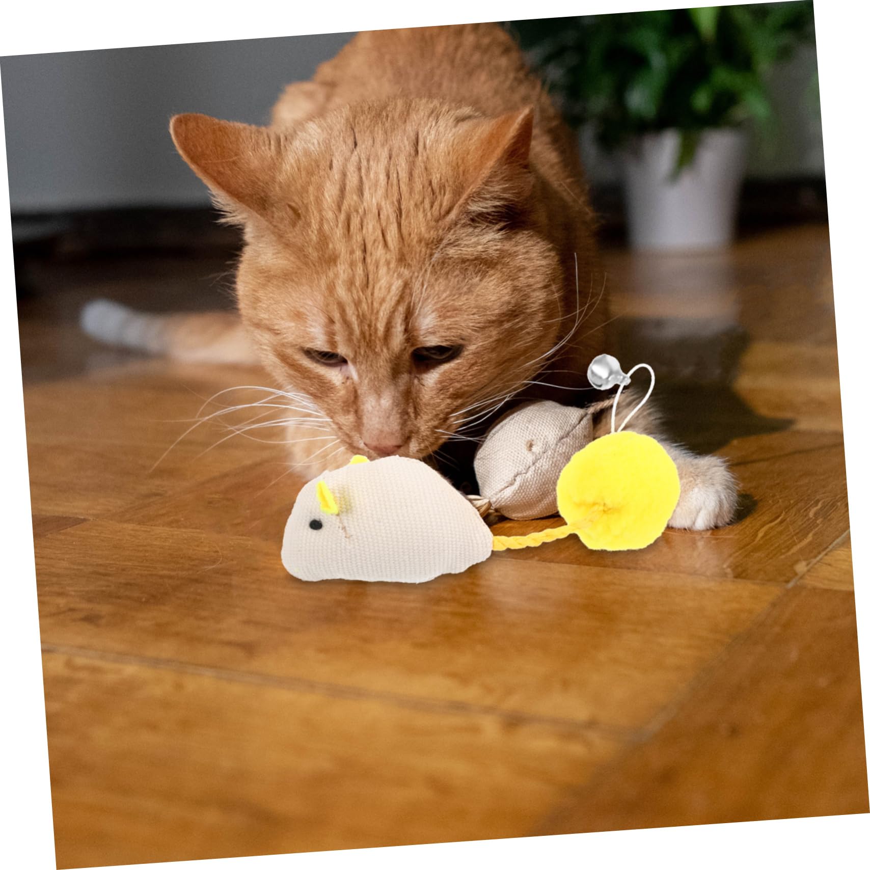 6 Pièces Souris avec Accessoires Interactifs pour Actifs Blancs