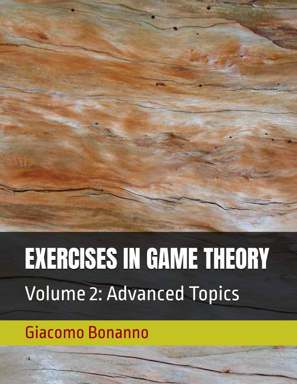 EXERCISES IN GAME THEORY: Volume 2: Advanced Topics (Textbooks)