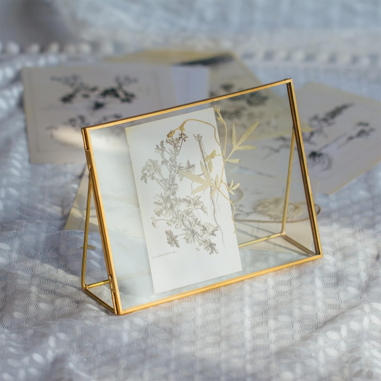NCYP 8x6 Inches Small Place Card Holder, Wedding Table Signs, Tabletop Gold Glass Frame for Photo Picture, Brass Rectangle Display Frame for Pressed Dried Flowers, Ornament (Glass Frame Only)