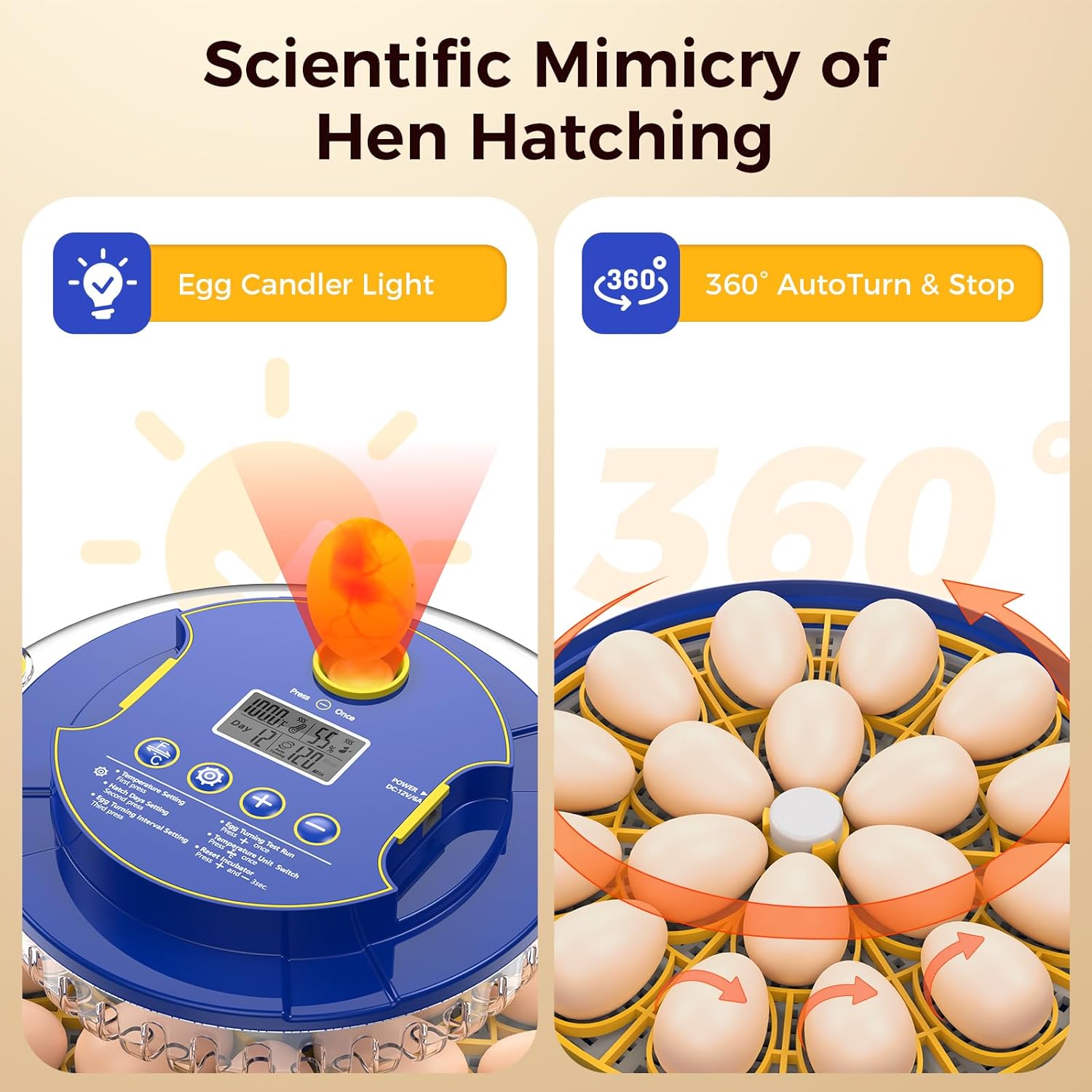 Incubator showing egg candler light and automatic egg turning