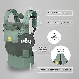 LLLbaby 3-in-1 Ergonomic CarryOn Airflow Toddler Carrier with Lumbar Support & Breathable Mesh Lining (25-60 lbs), Supportive & Comfortable, Multi-Position Carrying for Hiking & Travel (Willow)