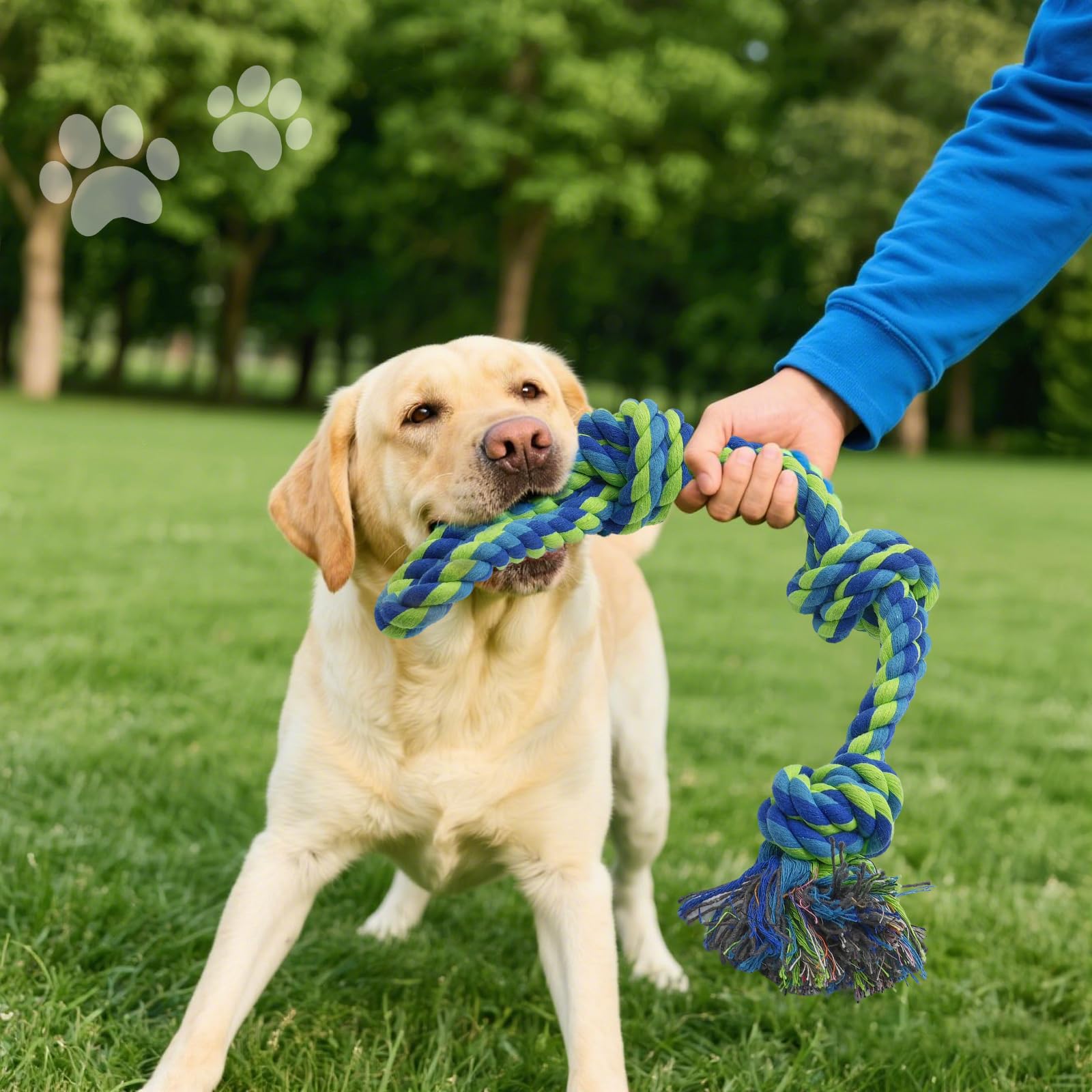 Schweres Hundespielzeug für große und mittelgroße aggressive Kauer, unzerstörbares Tauziehspielzeug für mittelgroße bis große Rassen, 100 % Baumwolle, Zahnreinigung, Kauseil, Hundespielzeug gegen