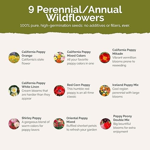 Miniatura 3 de Eden Brothers Poppy Power Flower - Semillas mixtas para plantar, 1 libra, más de 480,000 semillas con maíz rojo, Islandia, amapola de California.