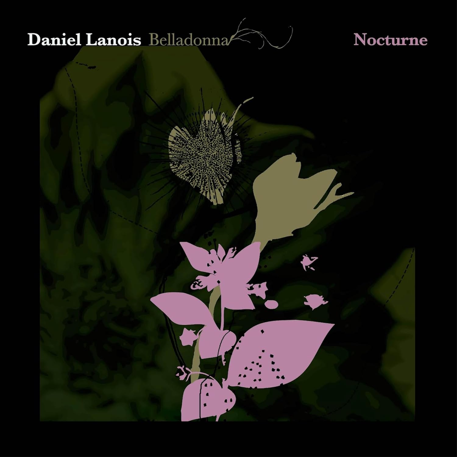 Belladonna Nocturne by Daniel Lanois — album cover
