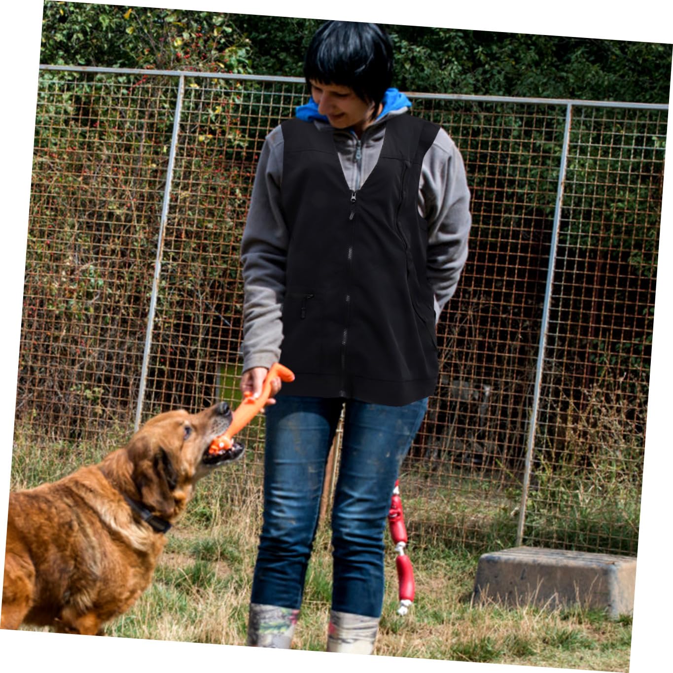Gilet de Dresseur pour Chien Noir Polyester Mesh, 2 Compartiments Zippés