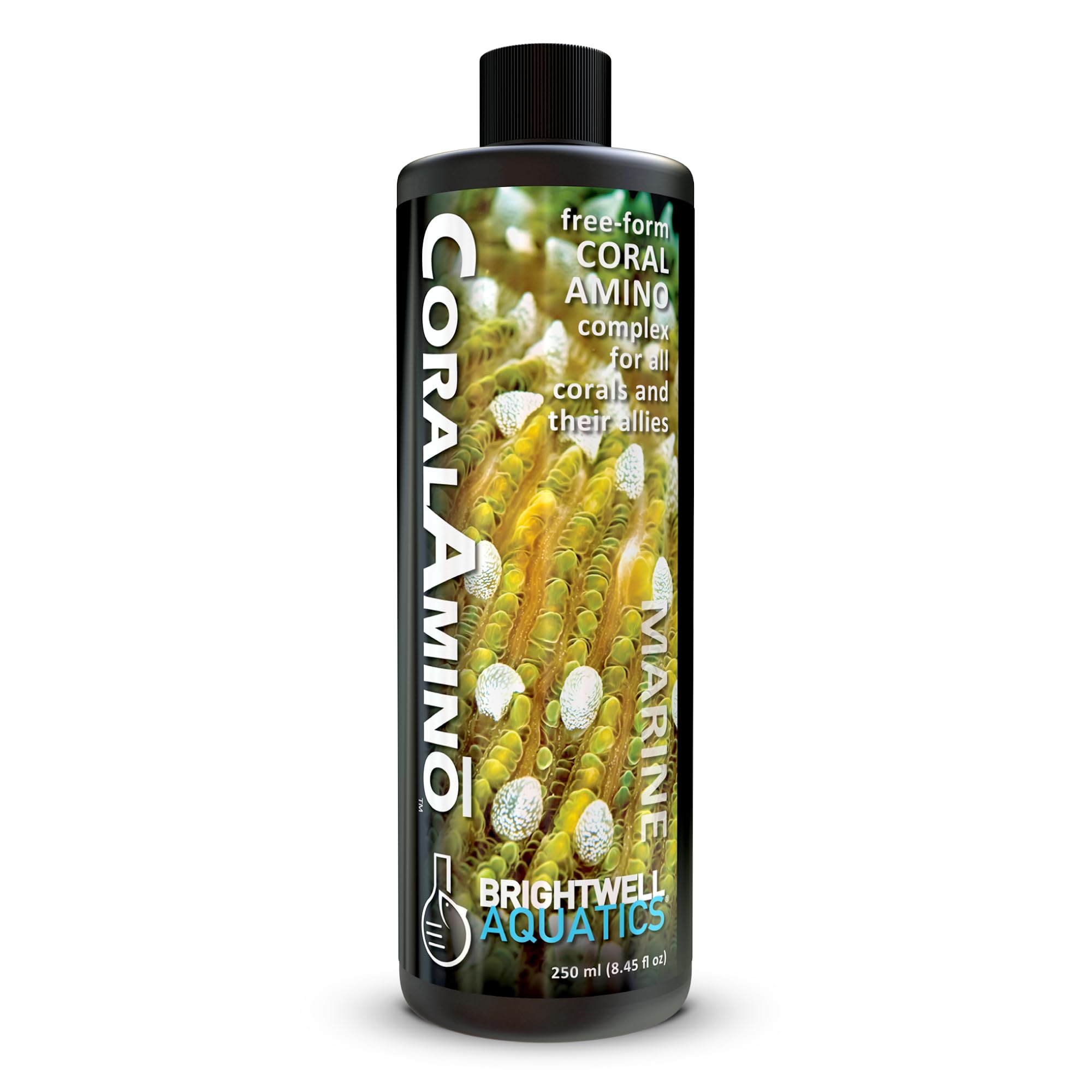 Amazon.com : Brightwell Aquatics CoralAmino - Complex of