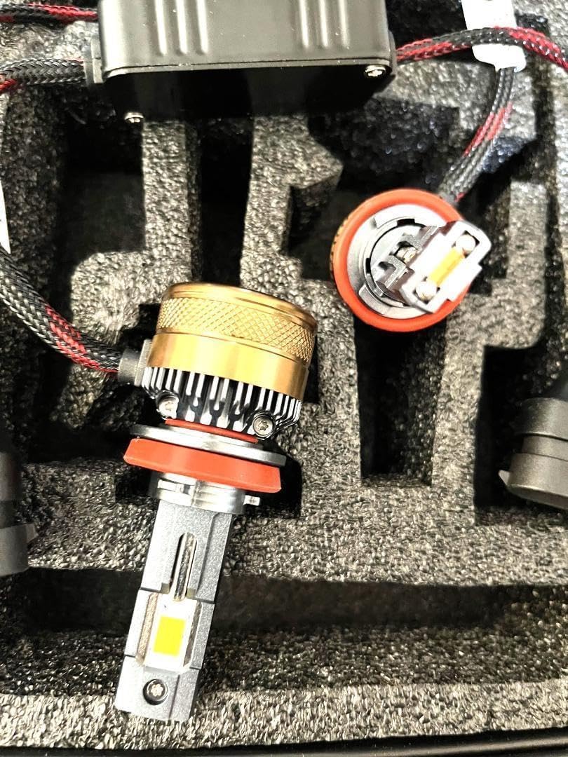 暗闇で光る❕ ボグリンズ/ ダークロード: ボグ・オー・ボーンズ パペット