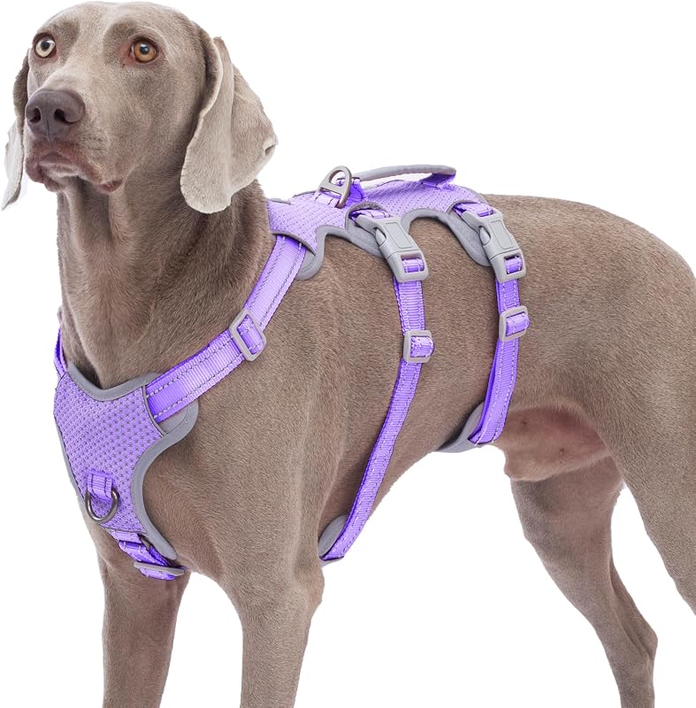 Peitoral Vest para Cães Huntboo com Alça, Faixas Refletivas e 5 Pontos de Ajuste Lavender Purple XL