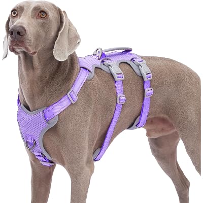 Huntboo Escape Proof Dog Harness, No Pull Reflective Harness with Lift Handle,Adjustable Pet Vest with Front and Back Leash Clips for Small Medium Large Dogs Walking Hiking Training(Lavender Purple,L)