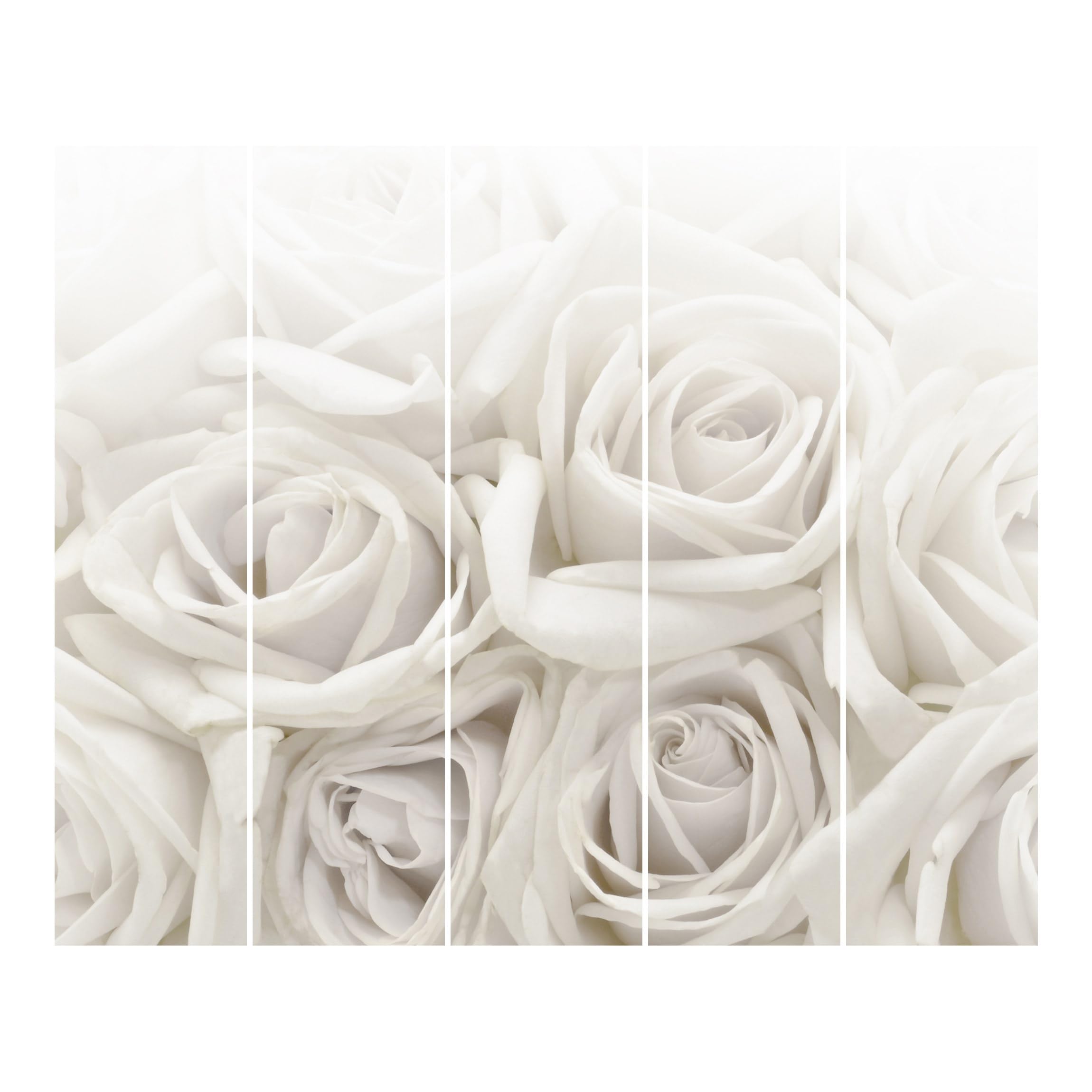 Schiebegardine halbtransparent 60er Paneel Klett Blumen Textil lichtdurchlässig - Rose Modern Flächenvorhang Weiss Wohnzimmer Schlafzimmer 1760 (300x250 cm - 5er Set)