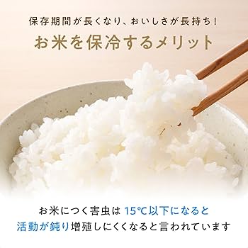 米ちゃん Amazon.co.jp: [東京Deco] 保冷米びつ 米櫃 21kgタイプ 1合計量