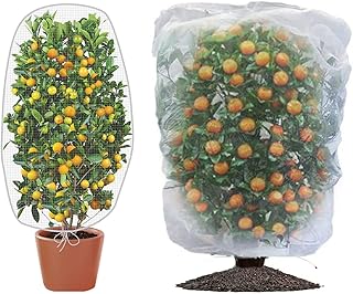 fruit tree netting to protect fruit from birds netting for fruit trees netting for birds netting for blueberry bushes netting for tomato plants netting mesh by CAMVNG (6.6 x 5.9 ft & 4.6 x 3.9 ft 4pack)