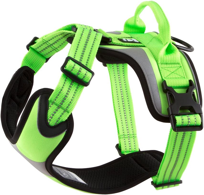 Hurtta Active Dazzle Dog Harness, Kiwi, 3239 in Pet