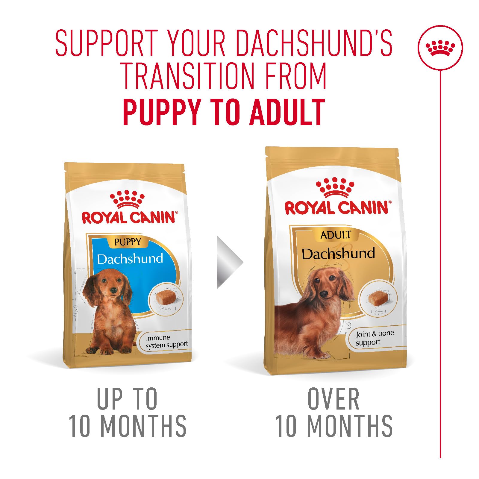 Amazon.co.jp: ロイヤルカナン BHN ダックスフンド 子犬用 1.5kg