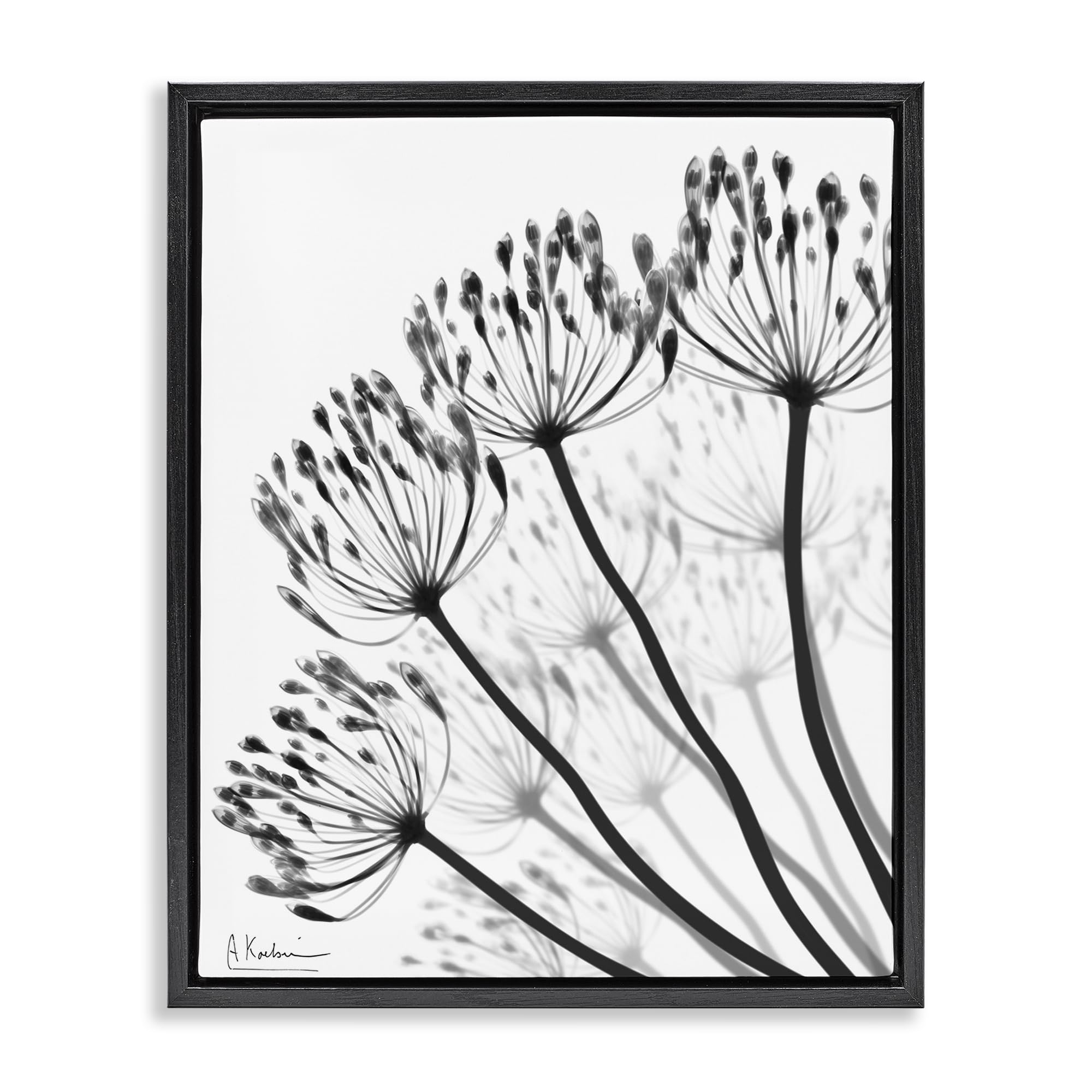 Stupell Industries Jet Black (Matte) 'Floral Fan Dandelions'| Floating Frame Canvas Art