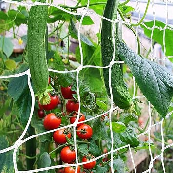 Trellis Netting, CANAGROW Heavy-Duty Garden Plant Trellis Netting for Climbing Plants, Outdoor Indoor Grow Net for Beans Tomatoes Peas Pumpkin Flowers, 6 x 30ft, Pack of 4