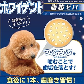 トモンヌ様ホワイト 4740 ソフトホワイトベア（大）：おもちゃ：百町森