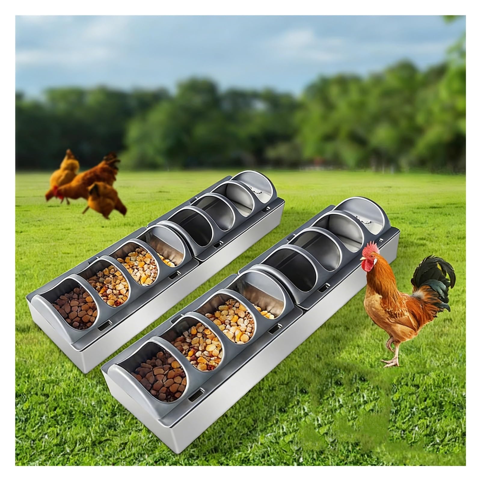 Canal de alimentación y agua de doble uso con tapa divisora extraíble para gallineros de aves de corral