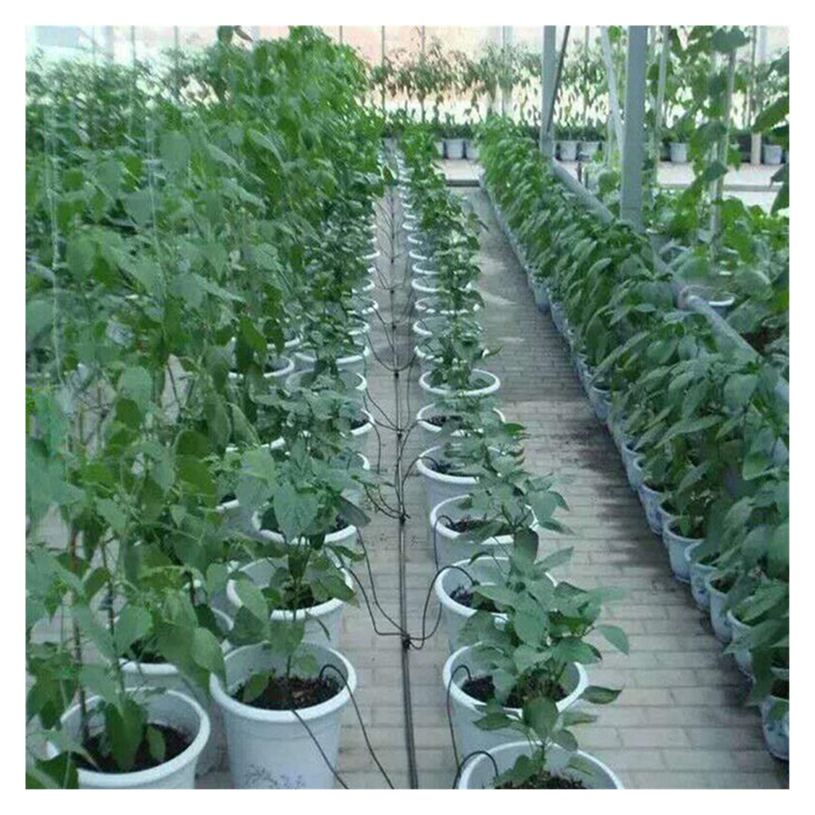 Xiaochen Annaffiatura del Giardino irrigazione del Prato in 50 cm Tubo 4 Curvo Freccia Blu antigoccia irrigazione emettitore Kit Bonsai Fiore pianta antigoccia antigelo Gripper Risparmio d'Acqua