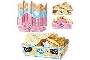 Bluey Party Food Trays