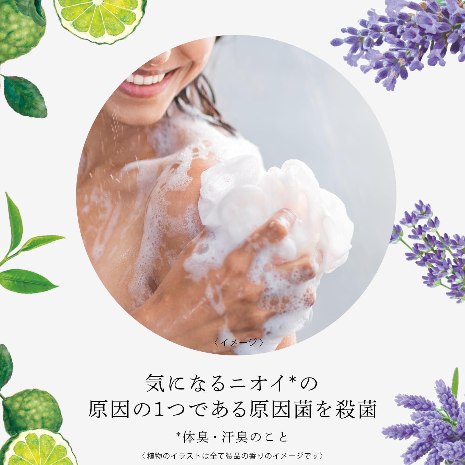 【美品】MUSE　ミューズ　CD6枚セット えっくす☆きゅーと『 Sweet Memory♥ コーディネイトドールset