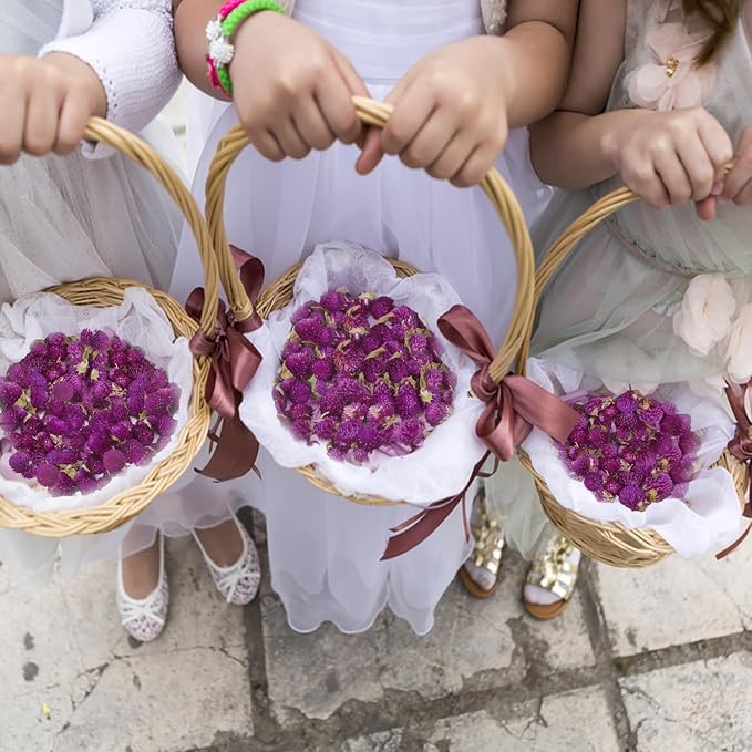 220 piezas flores secas de amarantos globosos púrpura miniatura 2