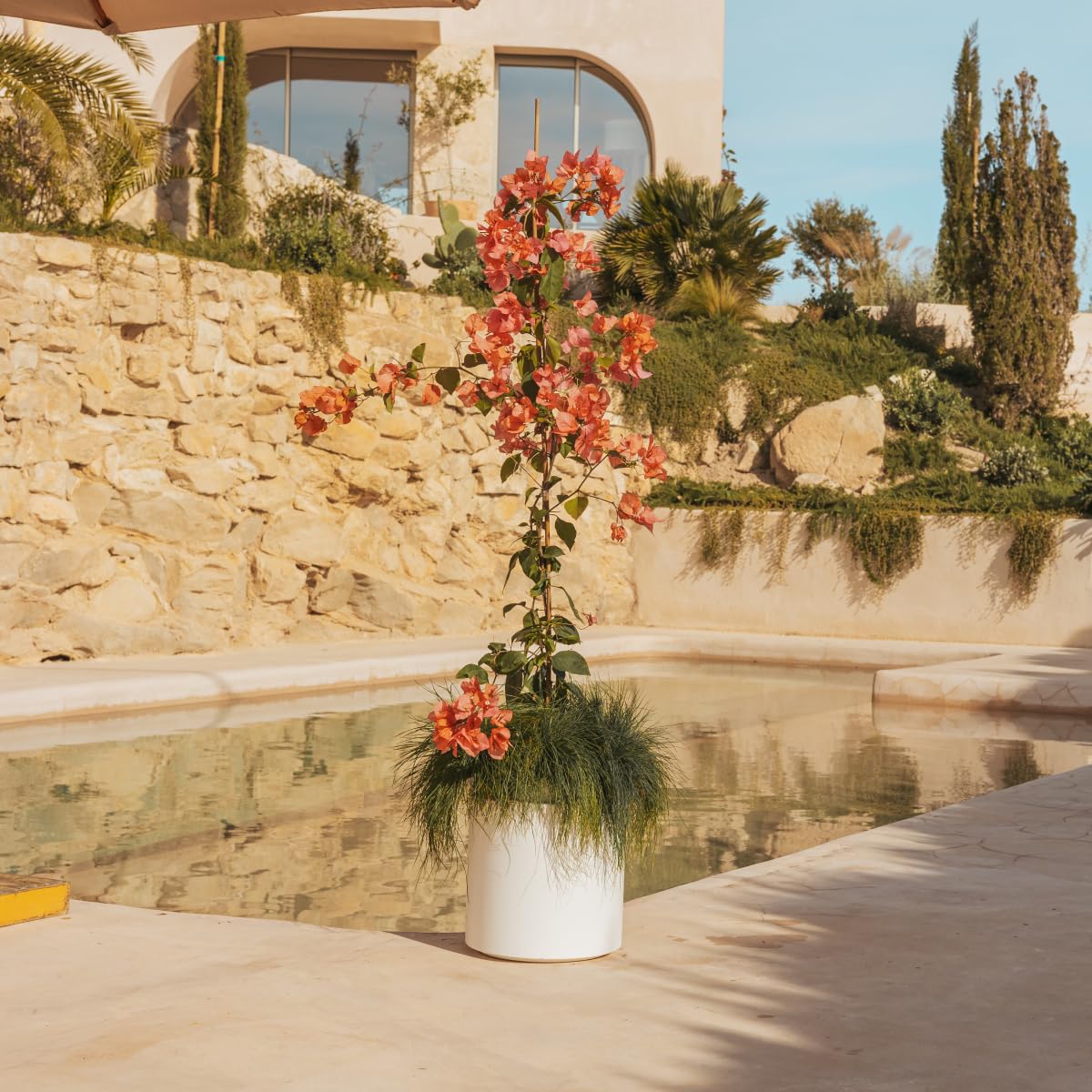 Vaso Per Piante Da Esterno Alto - Foto 12