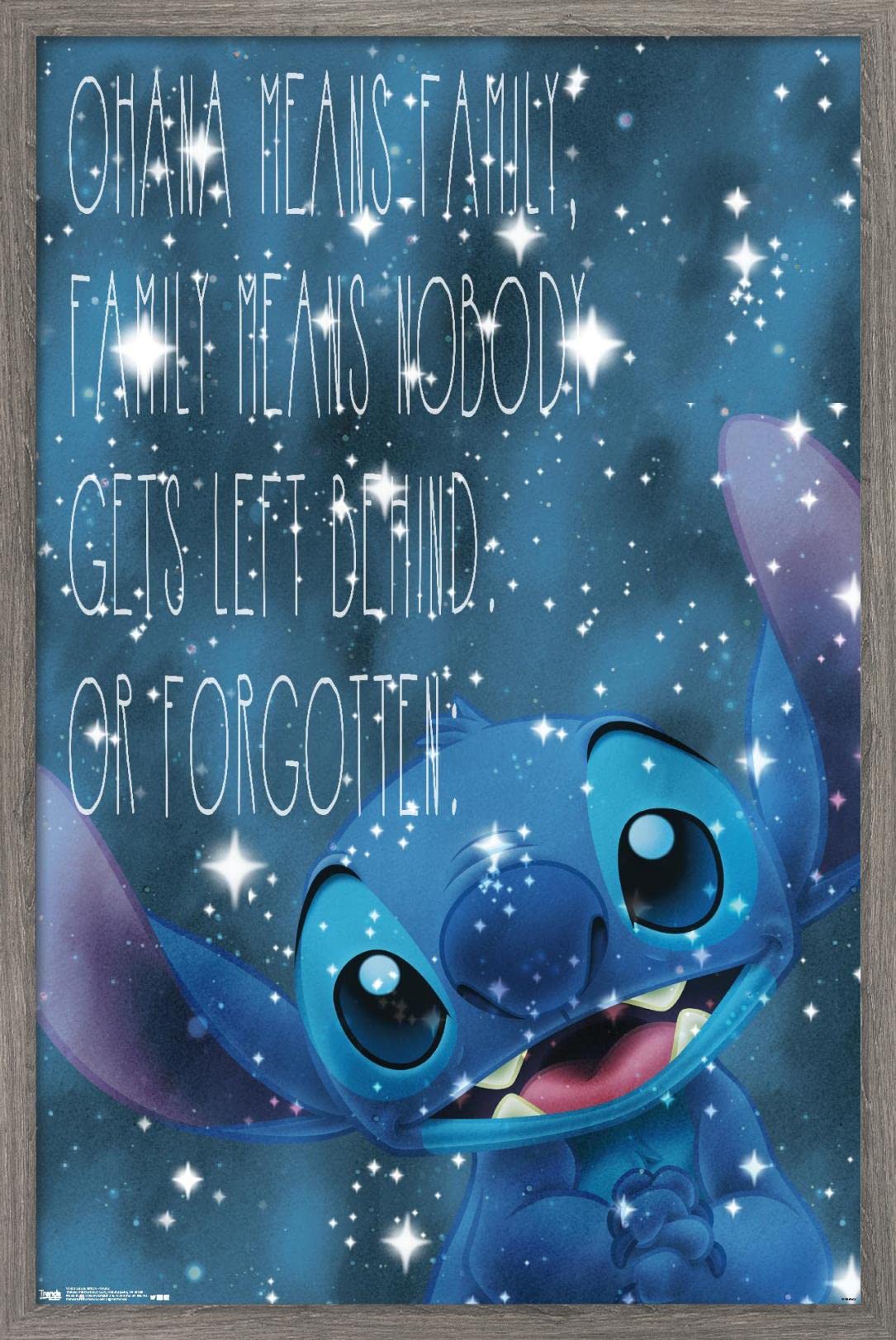 Trends International Disney Lilo and Stitch - Ohana Wall Poster, 14.725" x 22.375", Barnwood Framed Version