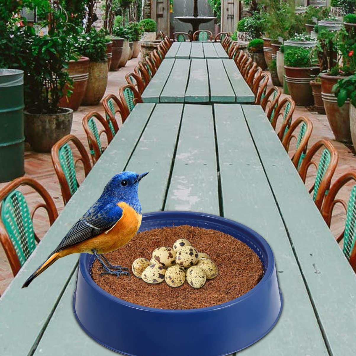 Yardwe Nido de Pájaro en Jaula Resistente al Desgaste para Palomas y Pájaros, Nido de Cría Doméstico de Plástico para Jardinería y Decoración