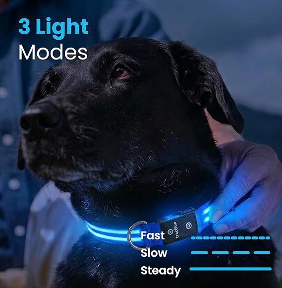 Tractive LED Light Up Dog Collar USB Rechargeable Waterproof (Blue)