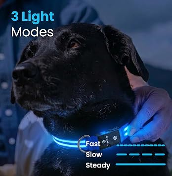 Tractive LED Light Up Dog Collar USB Rechargeable Waterproof (Blue)