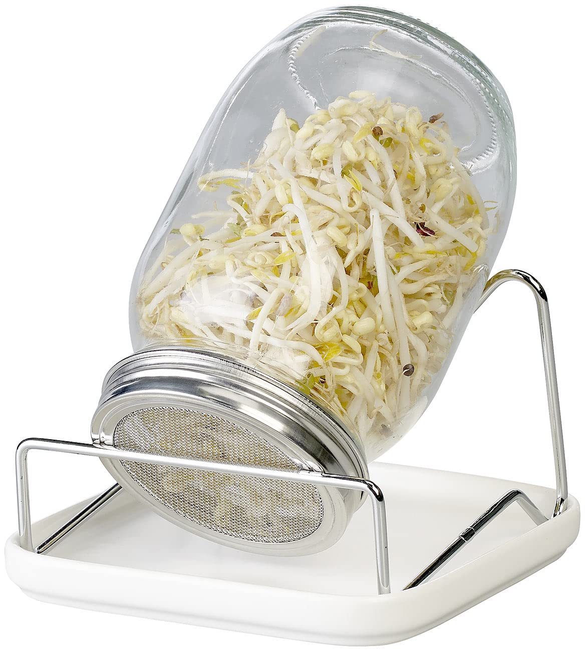 2 bocaux de germination 1 L avec support et bac de récupération [Royal Gardineer]