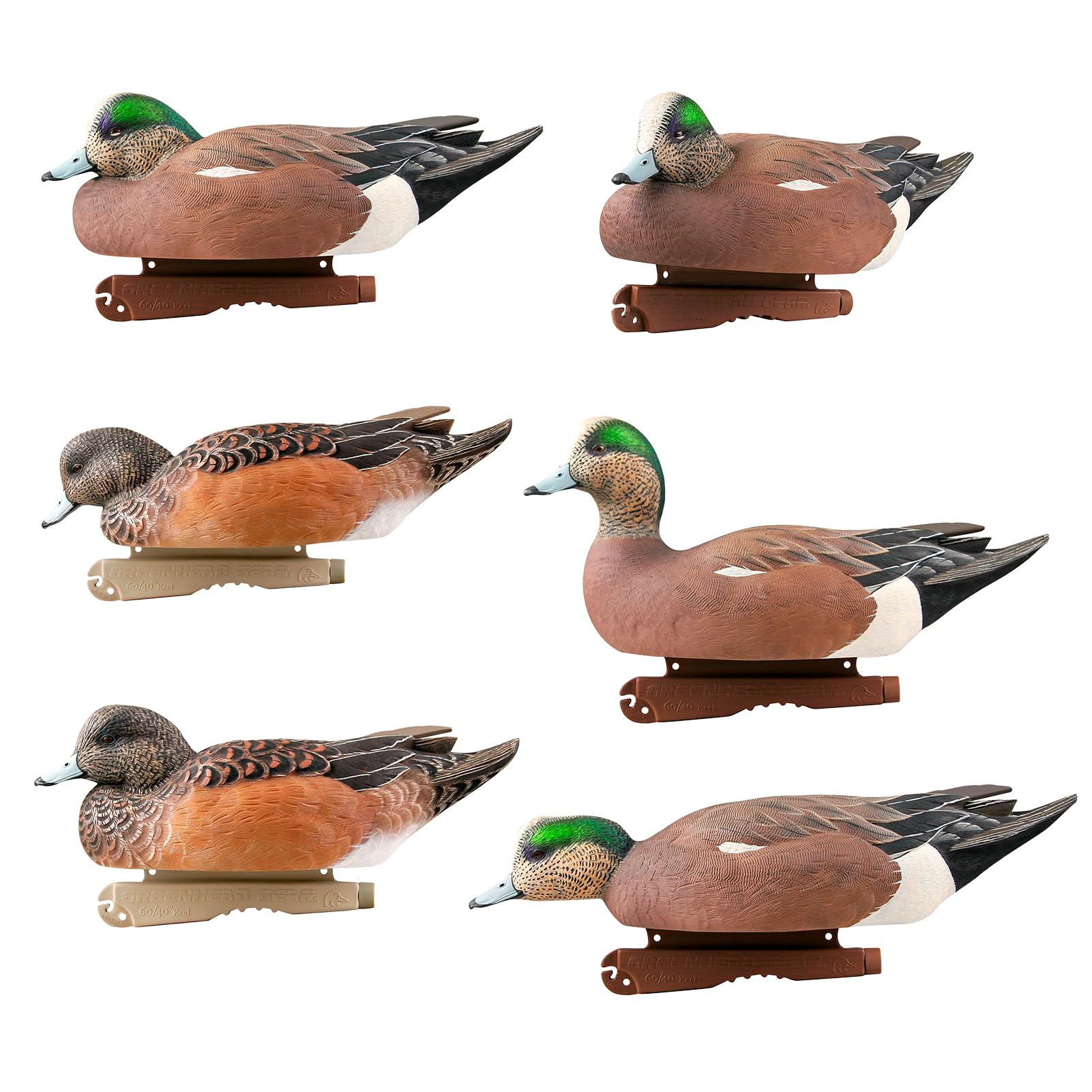 Avery GHG Pro-Grade Wigeon Decoys, 6-Pack | Realistic Durable Waterfowl Hunting Floating Duck Decoys with 60/40 Forward Weighted Swim Keel | Rester/Surface Feeder/High Head Postures (73143)