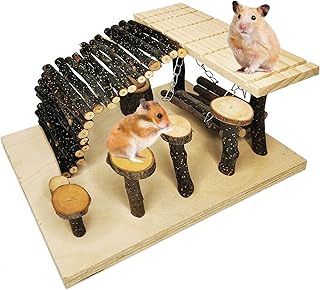 kathson Hamster Playground Wooden Hamster Activity Toys Set Small Animal Climb Platform - Climbing Ladder Ramp Bridge Bowl Swing Stand Platform for Gerbil Hamster Chinchilla Mouse Rat