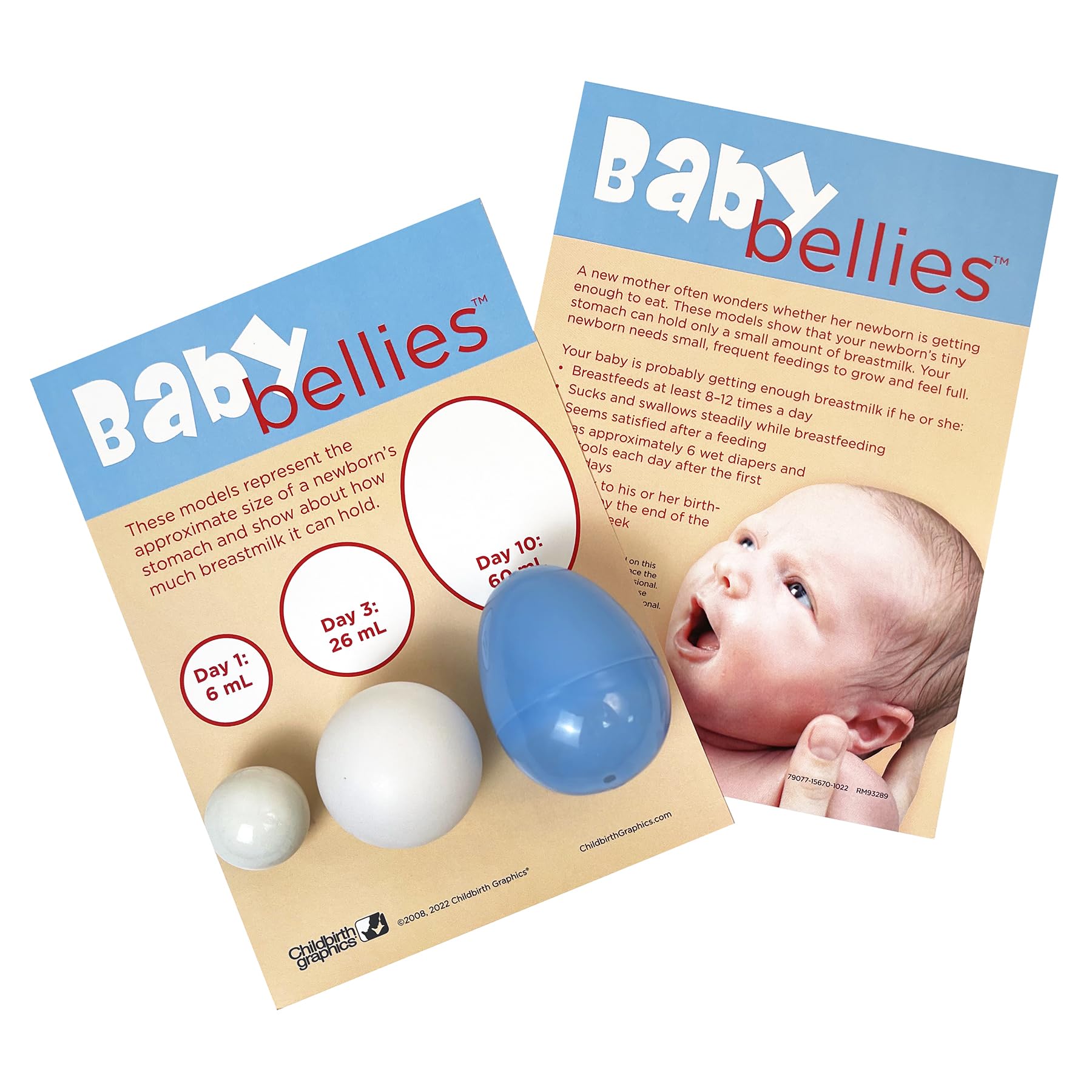 Baby Bellies Display