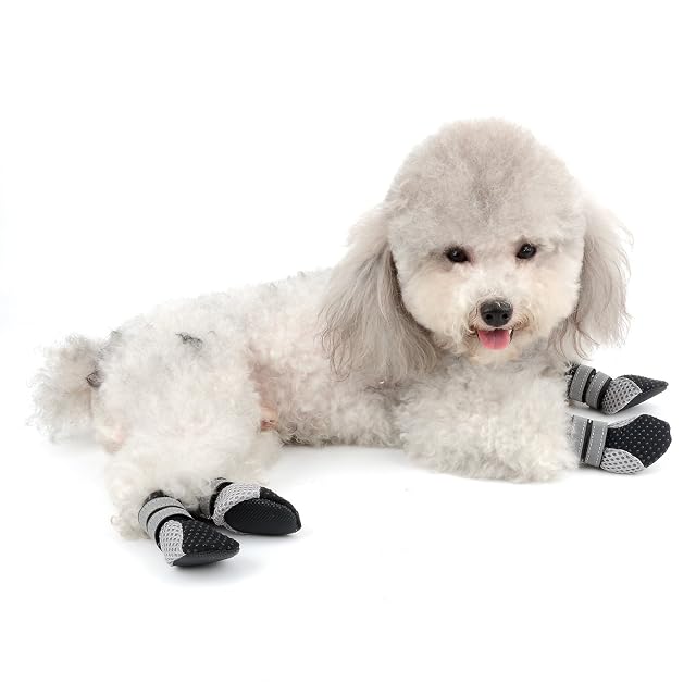 Foto 5 de 5 de Ranphy Botas de Perro de Malla Transpirable, Zapatos de Paseo para Mascotas