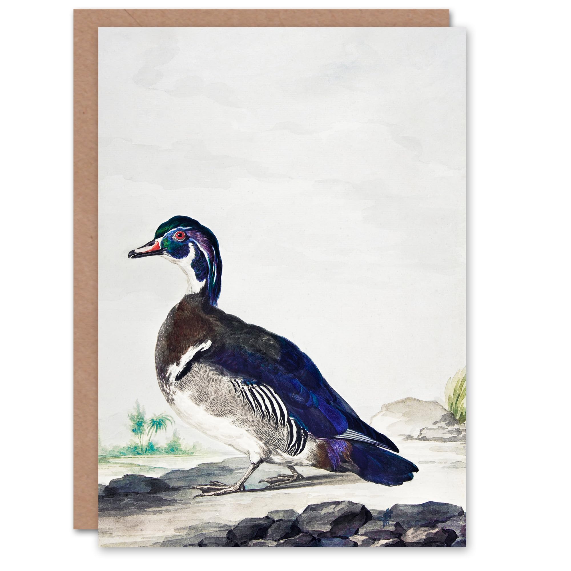 Aert Schouman Art Card Wood Duck Vintage Bird Oil Painting