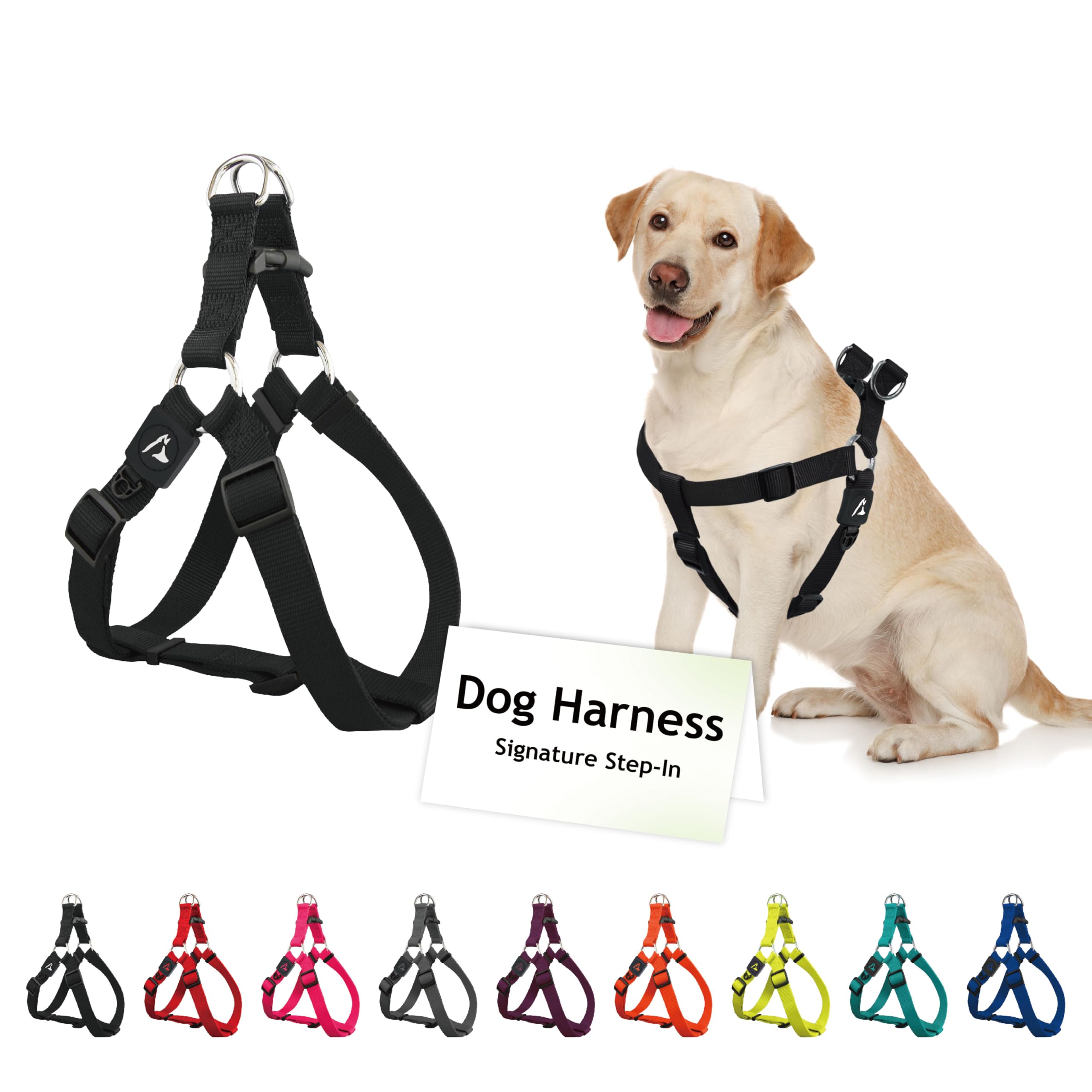 Signature Step in Harness, Small, Black