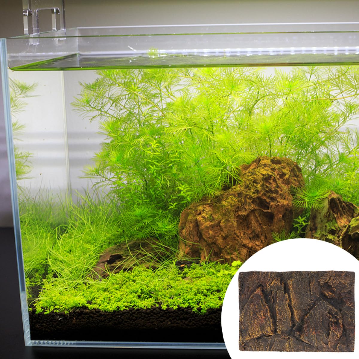minkissy Fondo Decorativo 3D para Acuario de Tortugas de Agua, Tablero de PU Alta Simulación para Terrarios y Peceras, Paquete de 2 Piezas para Decoración