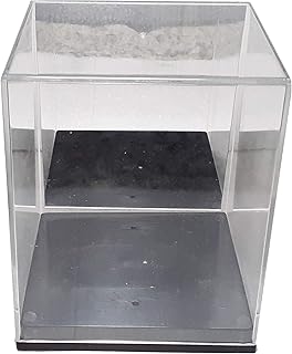 ProTech Products FV7BM Smalll Mirrored Utility Display Case with Black Base for Collectibles - 4.5