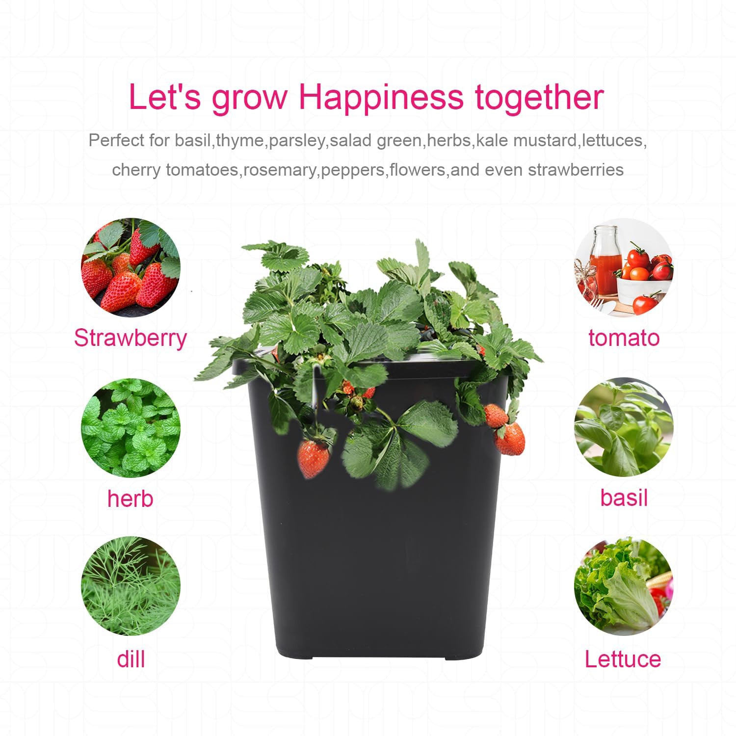 DWC - Kit de 2 cubos hidropónicos para plantas, sistema de cultivo hidropónico para hierbas/tomate/verduras, sistema DWC con bomba de aire y bandeja de germinación (suministros completos de jardinería