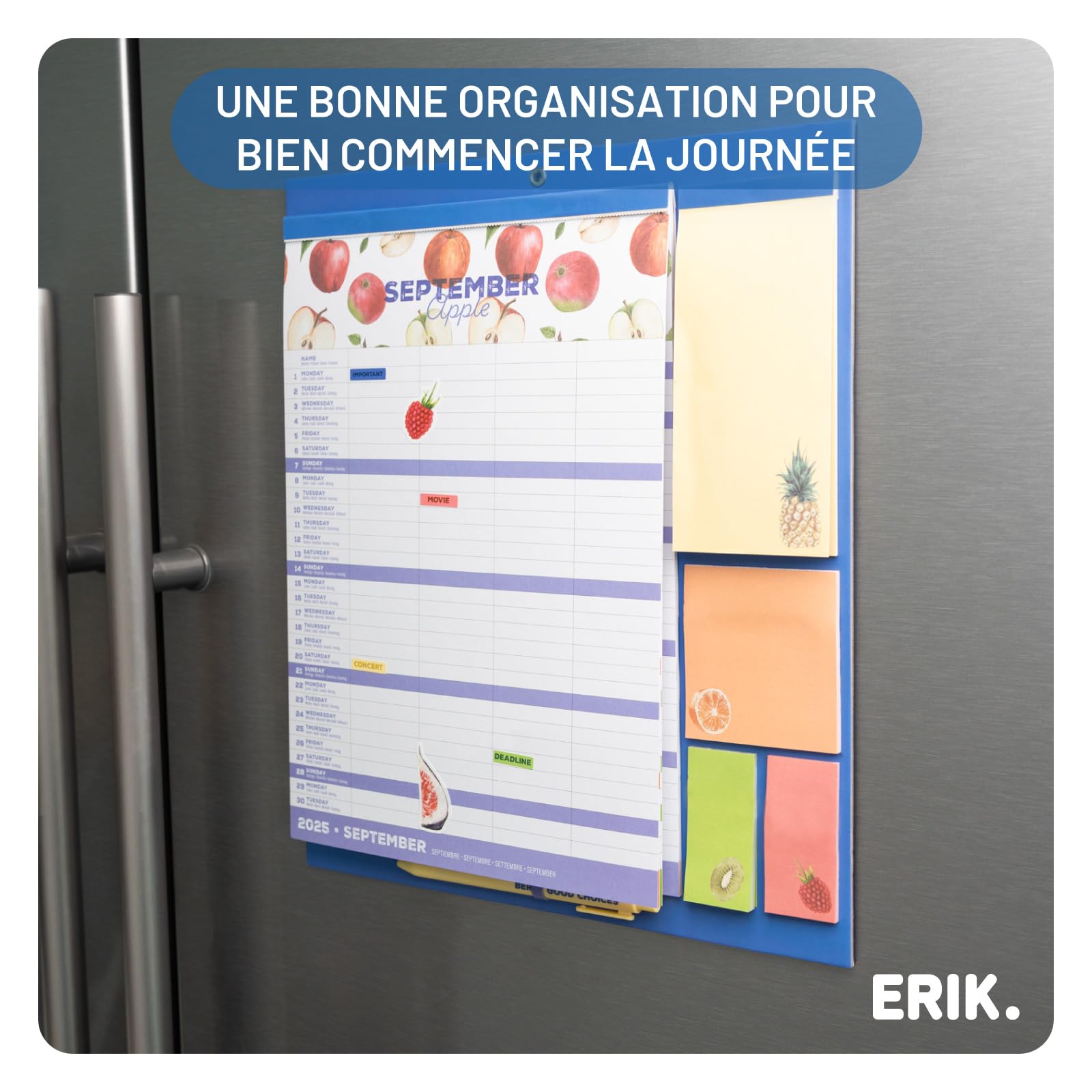 Calendrier Magnétique Frigo Fruits 2025-2026 | Planificateur Mensuel 16 mois Grupo Erik